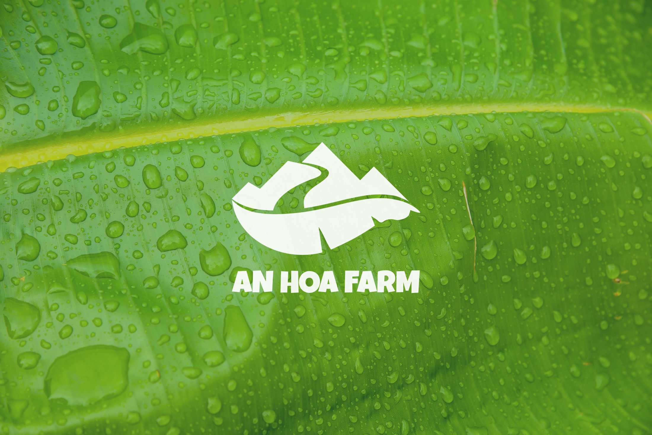 An Hòa Farm